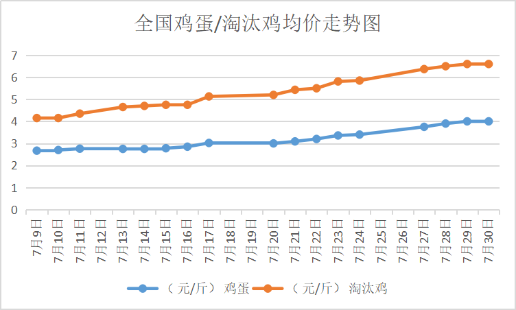 北京大洋路雞蛋今日行情，探尋內(nèi)心平靜的雞蛋之旅