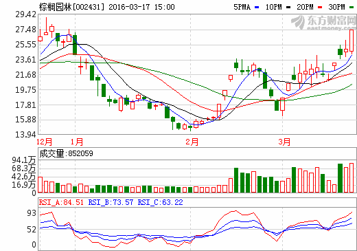 棕櫚園林股票動(dòng)態(tài)解析，最新消息獲取與深度分析指南