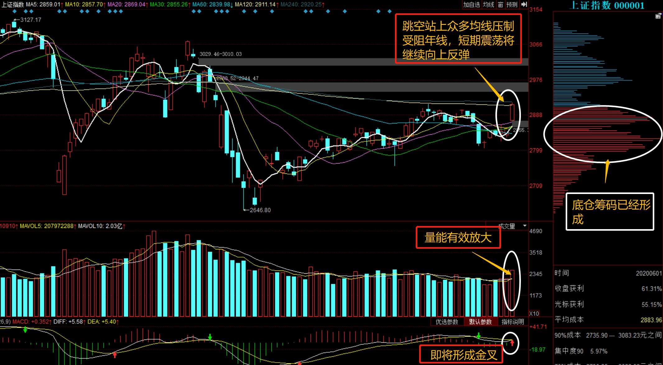 300617股票行情,300617股票行情深度解析，回顧與前景展望