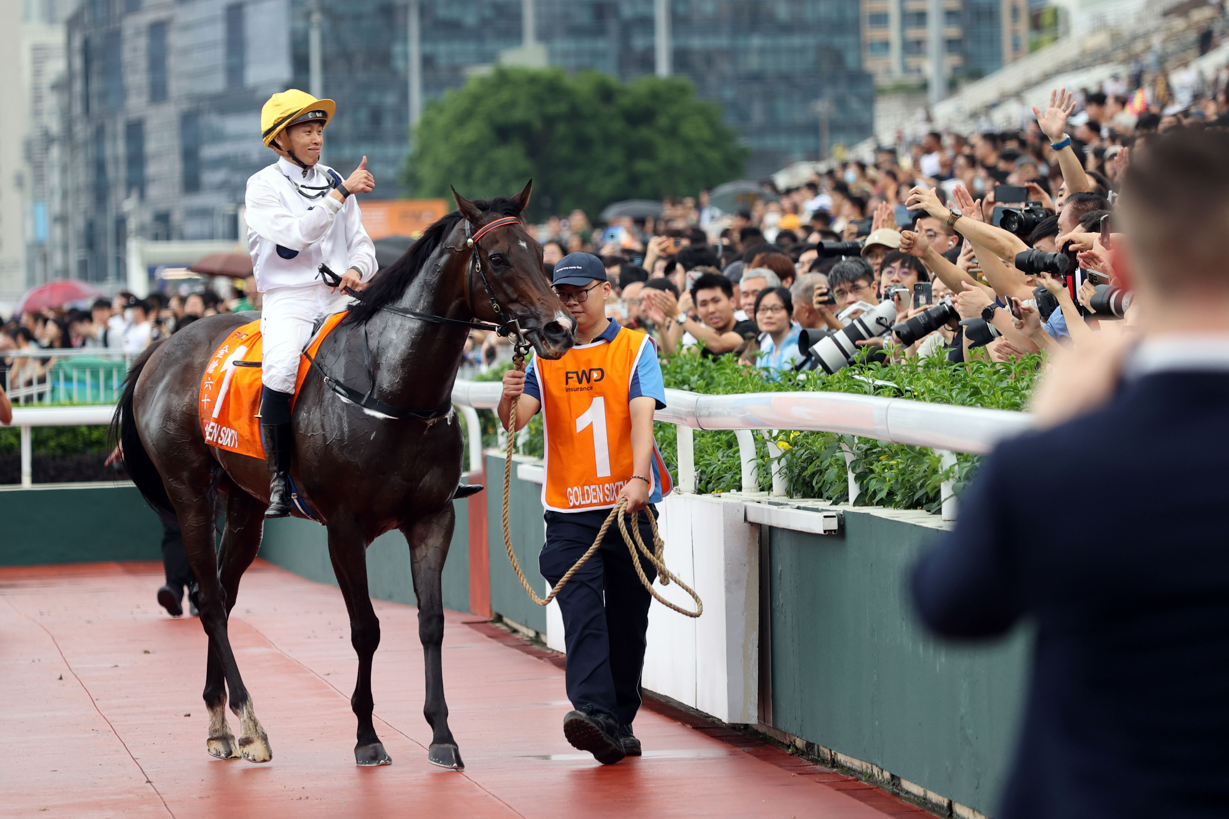 2024香港賽馬全年免費(fèi)資料,專家意見法案_收藏版6.401