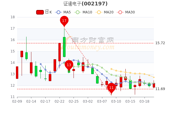 證通電子股票價格回顧與洞察，深度解析及市場趨勢分析